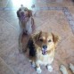 Mis dos amores!